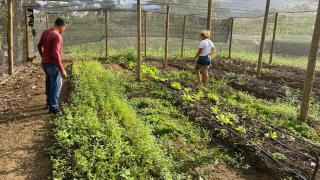 WhatsApp Image 2023-02-09 at 17.58.19.jpeg