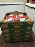 WhatsApp Image 2023-02-27 at 17.24.34.jpeg