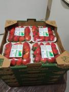 WhatsApp Image 2023-02-27 at 17.24.35 (1).jpeg