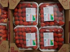 WhatsApp Image 2023-02-27 at 17.24.36 (1).jpeg