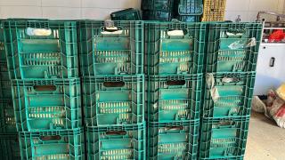 WhatsApp Image 2023-02-28 at 15.25.48 (1).jpeg