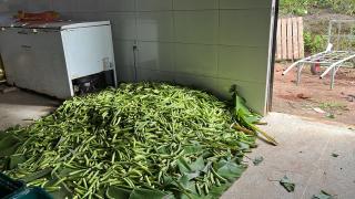 WhatsApp Image 2023-02-28 at 15.25.49 (1).jpeg