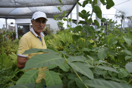 Captura de Tela 2023-03-30 às 14.59.31.png