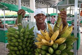 WhatsApp Image 2023-03-04 at 10.42.10.jpeg