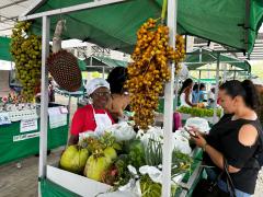 WhatsApp Image 2023-03-04 at 10.44.10.jpeg