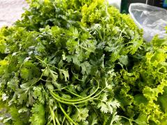 WhatsApp Image 2023-03-04 at 10.46.27 (1).jpeg