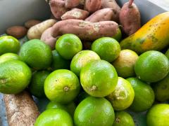 WhatsApp Image 2023-03-04 at 10.46.27.jpeg