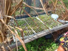 WhatsApp Image 2023-03-06 at 17.39.51.jpeg