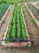 WhatsApp Image 2023-03-06 at 17.39.53.jpeg