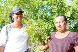 WhatsApp Image 2023-03-07 at 19.49.06.jpeg