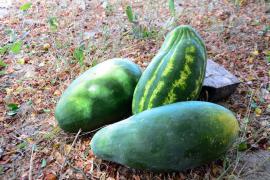 WhatsApp Image 2023-03-08 at 15.53.19.jpeg