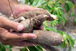 WhatsApp Image 2023-03-08 at 15.53.22 (2).jpeg