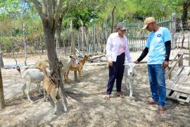 WhatsApp Image 2023-03-08 at 15.53.24.jpeg