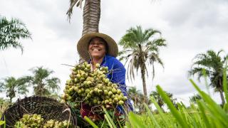 WhatsApp Image 2023-03-08 at 17.18.54.jpeg