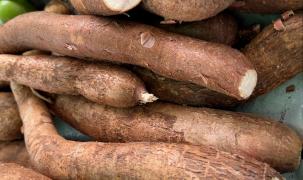 WhatsApp Image 2023-03-09 at 15.06.30 (1).jpeg