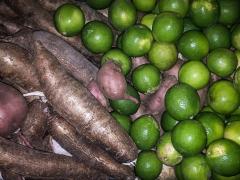 WhatsApp Image 2023-03-09 at 15.06.30 (2).jpeg