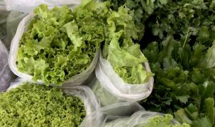 WhatsApp Image 2023-03-09 at 15.06.30.jpeg