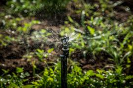 WhatsApp Image 2023-03-22 at 11.55.40 (2).jpeg