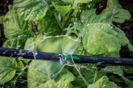 WhatsApp Image 2023-03-22 at 11.55.40 (3).jpeg