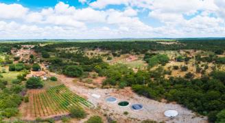 WhatsApp Image 2023-03-22 at 16.35.48.jpeg