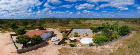 WhatsApp Image 2023-03-22 at 16.35.49.jpeg