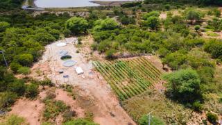 WhatsApp Image 2023-03-22 at 16.35.50.jpeg