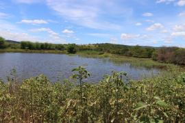 WhatsApp Image 2023-03-28 at 10.15.31.jpeg