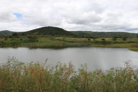 WhatsApp Image 2023-03-28 at 10.15.32.jpeg