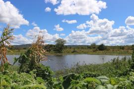 WhatsApp Image 2023-03-28 at 10.15.48 (1).jpeg