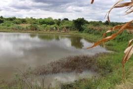 WhatsApp Image 2023-03-28 at 10.15.48.jpeg