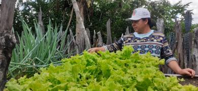 Maria do Socorro (3).jpeg