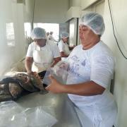 WhatsApp Image 2023-04-03 at 10.49.51.jpeg