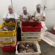 WhatsApp Image 2023-04-03 at 10.49.52 (1).jpeg