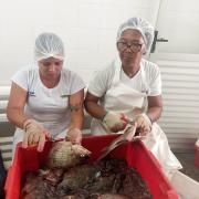 WhatsApp Image 2023-04-03 at 10.49.53.jpeg