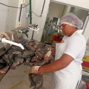 WhatsApp Image 2023-04-03 at 10.49.58.jpeg