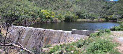 WhatsApp Image 2023-04-13 at 16.56.35.jpeg