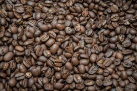 WhatsApp Image 2023-04-13 at 17.03.20.jpeg