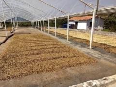 WhatsApp Image 2023-04-13 at 17.03.24.jpeg