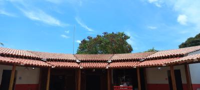 WhatsApp Image 2023-04-18 at 11.23.58.jpeg