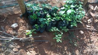 WhatsApp Image 2023-04-20 at 11.14.28 (1).jpeg