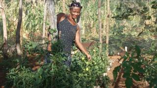 WhatsApp Image 2023-04-20 at 11.14.28.jpeg