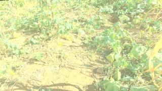 WhatsApp Image 2023-04-20 at 11.14.30.jpeg