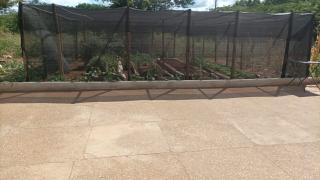 WhatsApp Image 2023-04-20 at 11.14.33.jpeg