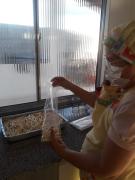 WhatsApp Image 2023-04-26 at 15.01.29 (2).jpeg