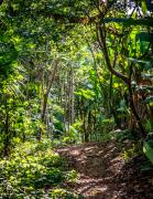 WhatsApp Image 2023-04-28 at 16.18.05.jpeg