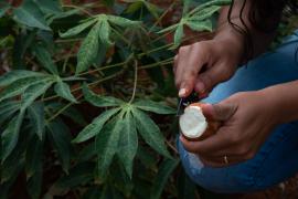 Edineia Oliveira-4.jpg