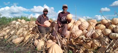 WhatsApp Image 2023-04-11 at 16.26.04.jpeg