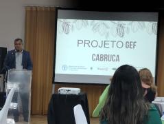 WhatsApp Image 2023-05-08 at 15.18.03.jpeg