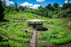 WhatsApp Image 2023-05-17 at 10.19.42 (1).jpeg