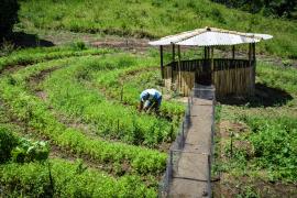 WhatsApp Image 2023-05-17 at 10.19.42.jpeg